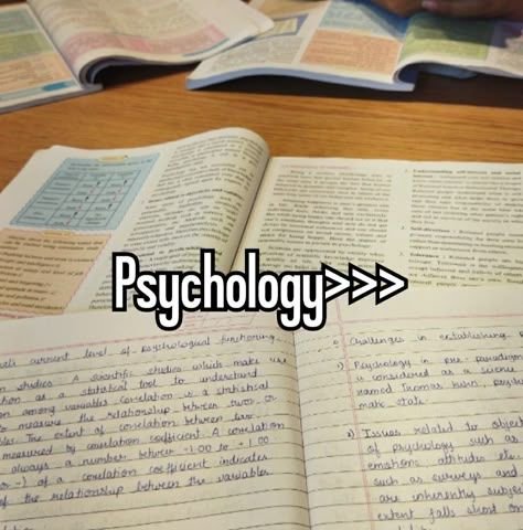 Career Options After a Bachelor’s in Psychology: What’s Next?